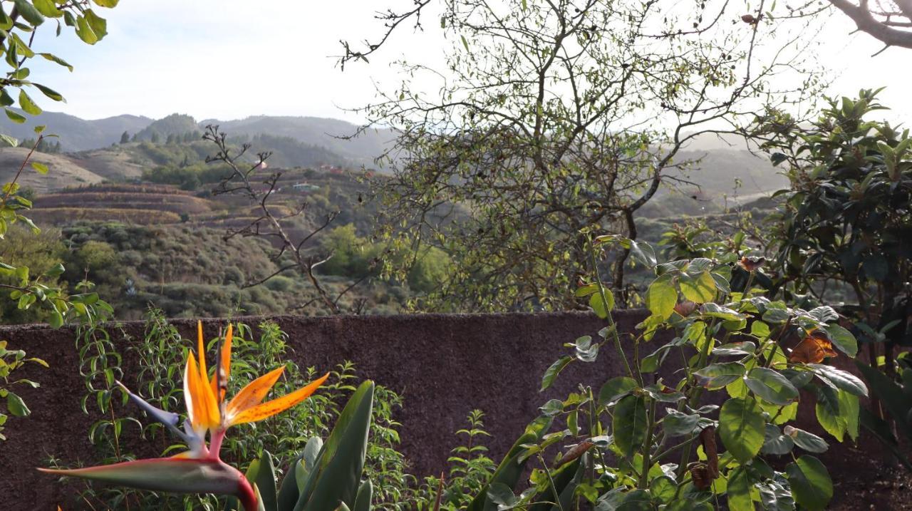 Casa Rural En San Mateo Las Palmas de Gran Canaria Exterior foto
